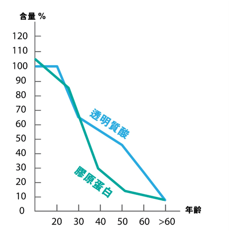 折線圖顯示隨著年齡增長，透明質酸和膠原蛋白含量的變化趨勢，縱軸為含量百分比，橫軸為年齡範圍，突出顯示隨著年齡增加，這兩種成分的下降趨勢。